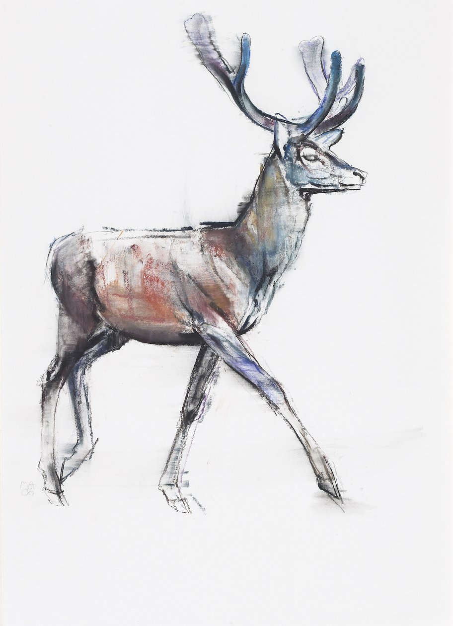 Velvet, 2006 (węgiel i conte na papierze) autorstwa Mark Adlington