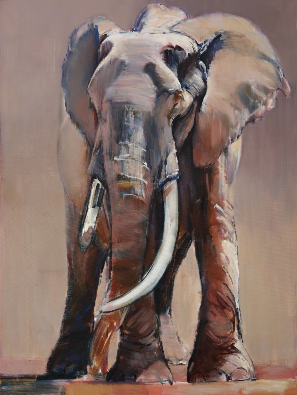 Czcigodna Stara Matriarcho, 2018 autorstwa Mark Adlington