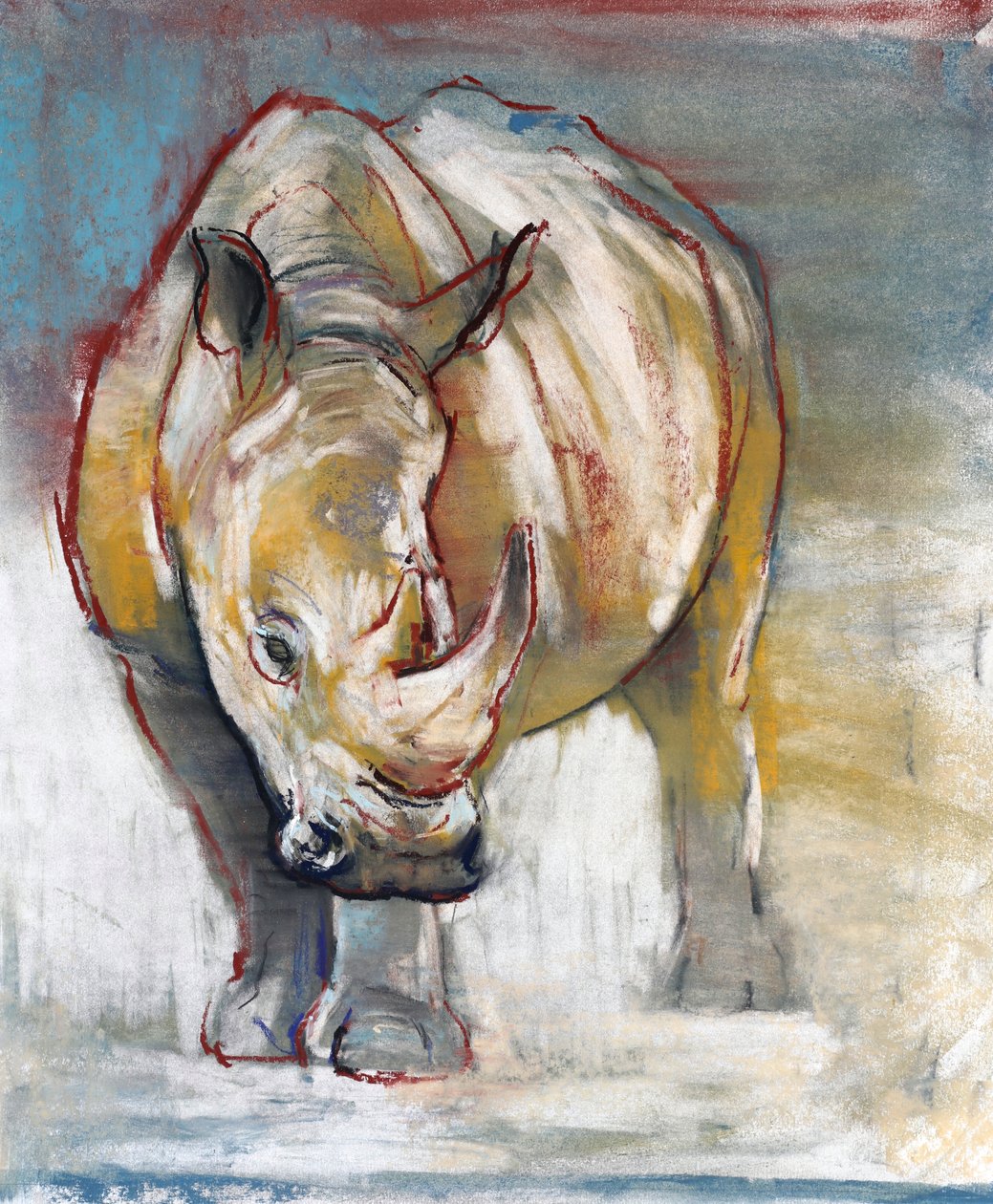 Nosorożec biały, Ol Pejeta, 2018 autorstwa Mark Adlington