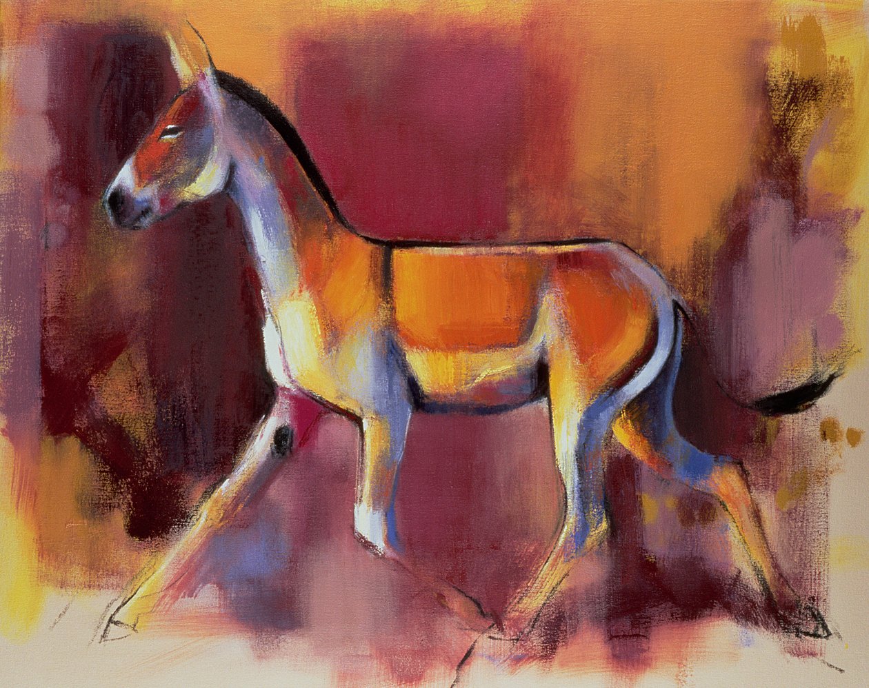 Dziki tyłek, Rann z Kutch, 1996 autorstwa Mark Adlington