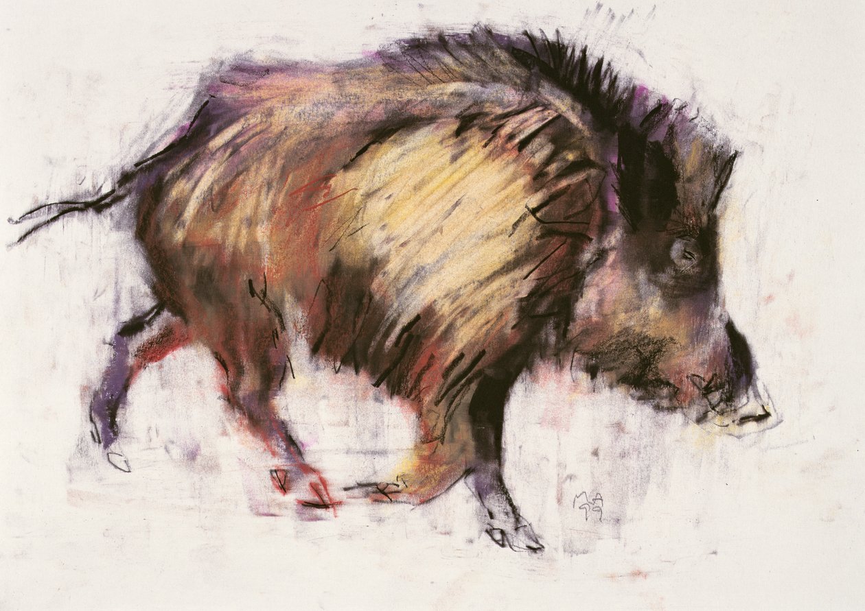 Wild Boar Trotting, 1999 (grafit, conte i węgiel na papierze) autorstwa Mark Adlington