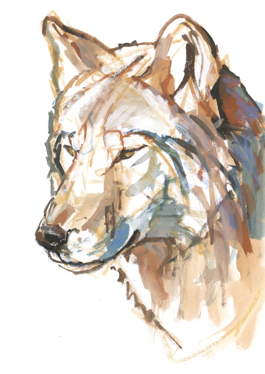 Wilk, 2018 autorstwa Mark Adlington