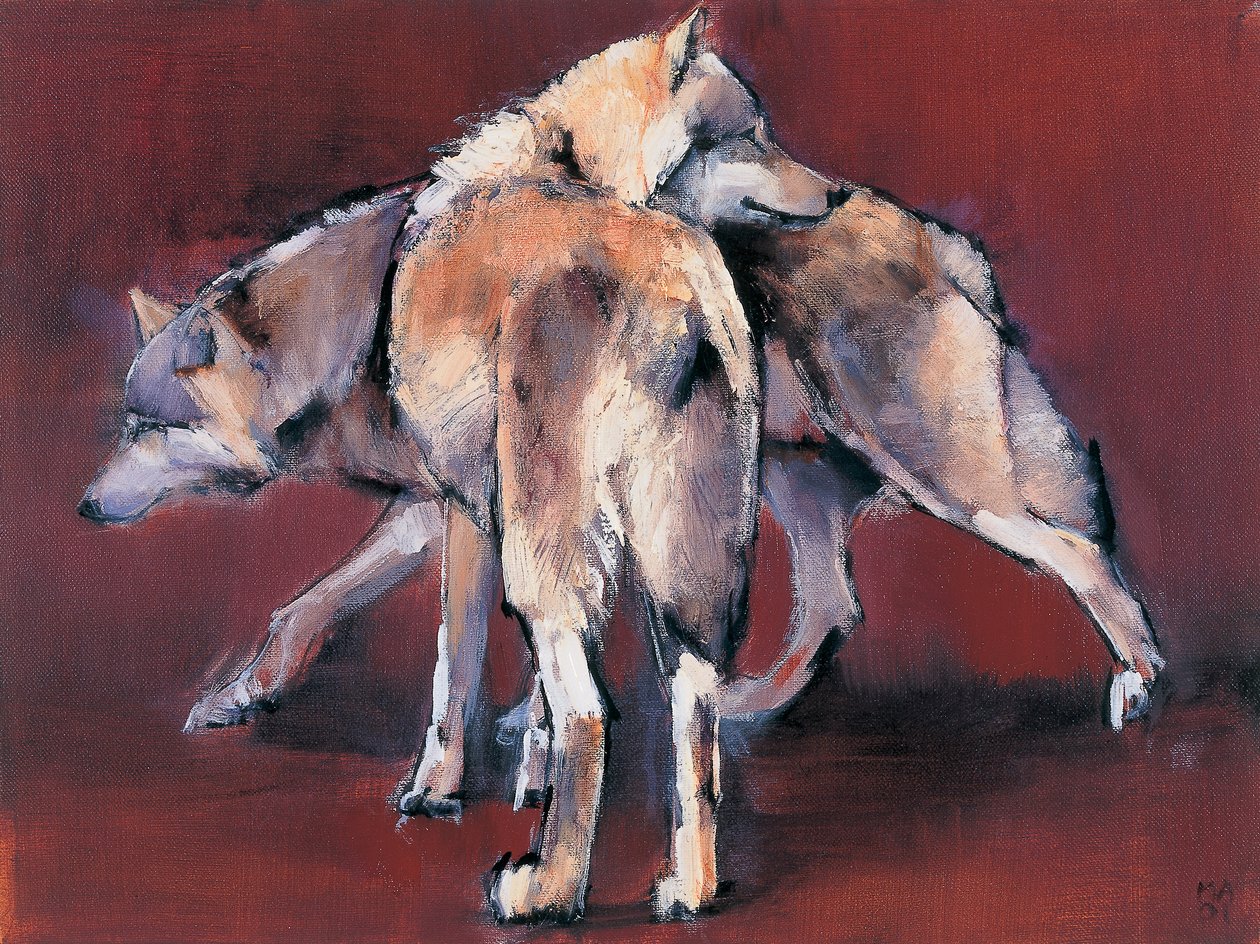 Kompozycja wilka, 2001 autorstwa Mark Adlington