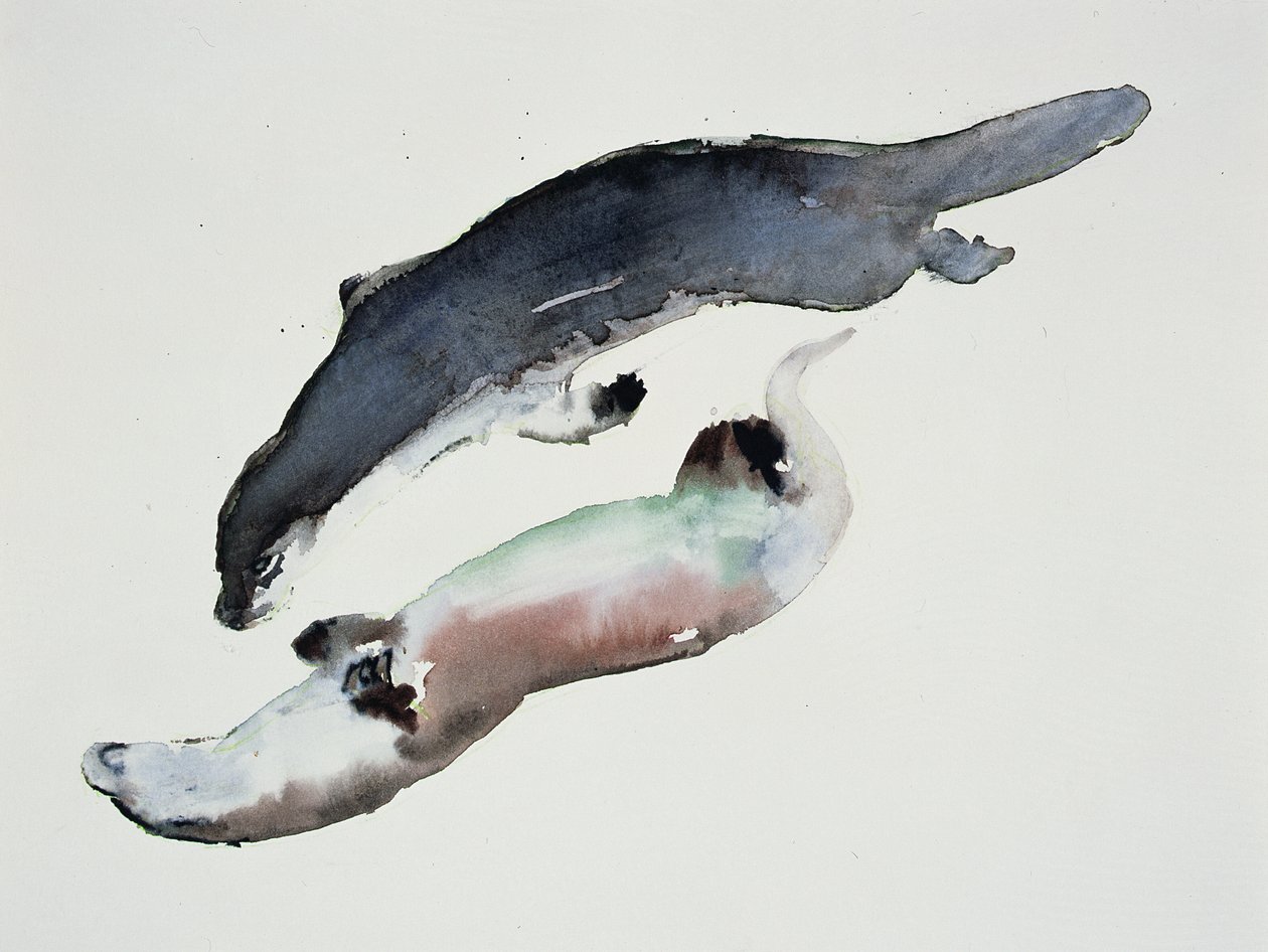 yin yang autorstwa Mark Adlington