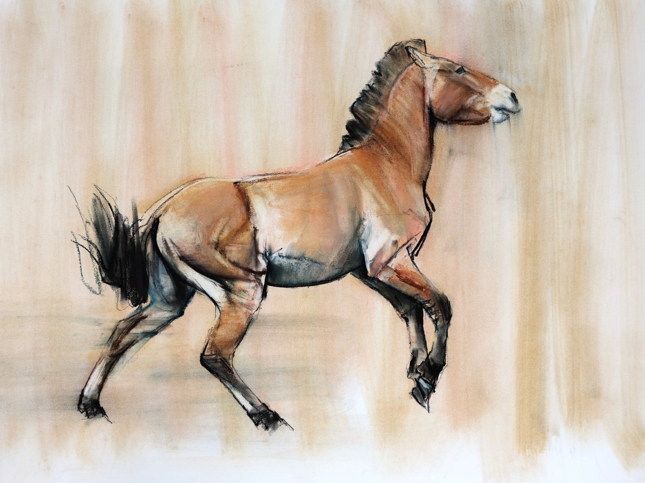 Ogier Młody (Przewalski), 2014, (pastel i węgiel na papierze) autorstwa Mark Adlington