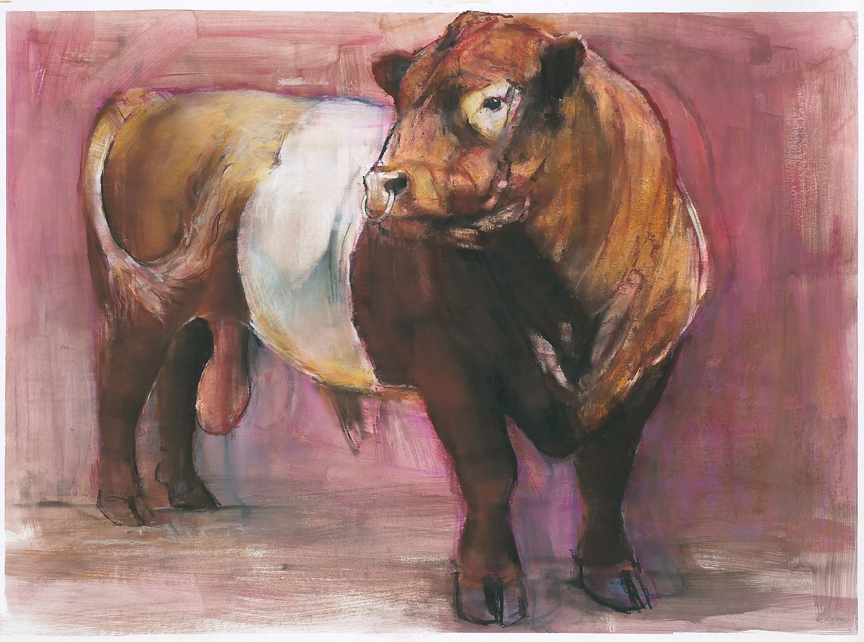 Zeus, Red Belted Galloway Bull, 2006 (technika mieszana na papierze) autorstwa Mark Adlington