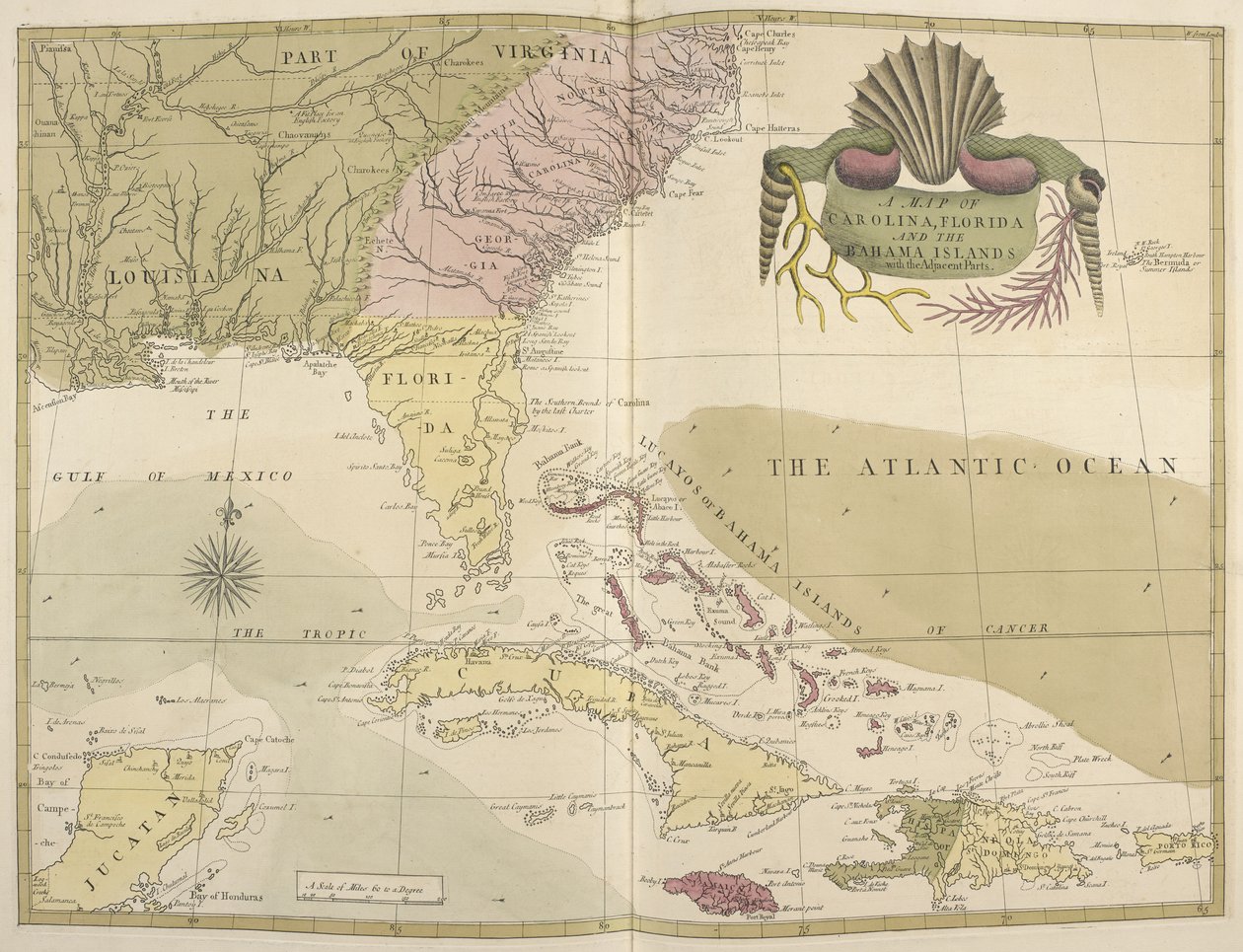 Mapa Karoliny, Florydy i Bahamów autorstwa Mark Catesby