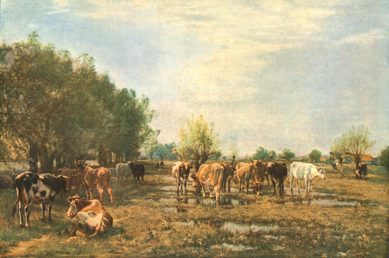 Fen Meadows z bydłem, 1877, c1930. autorstwa Mark Fisher