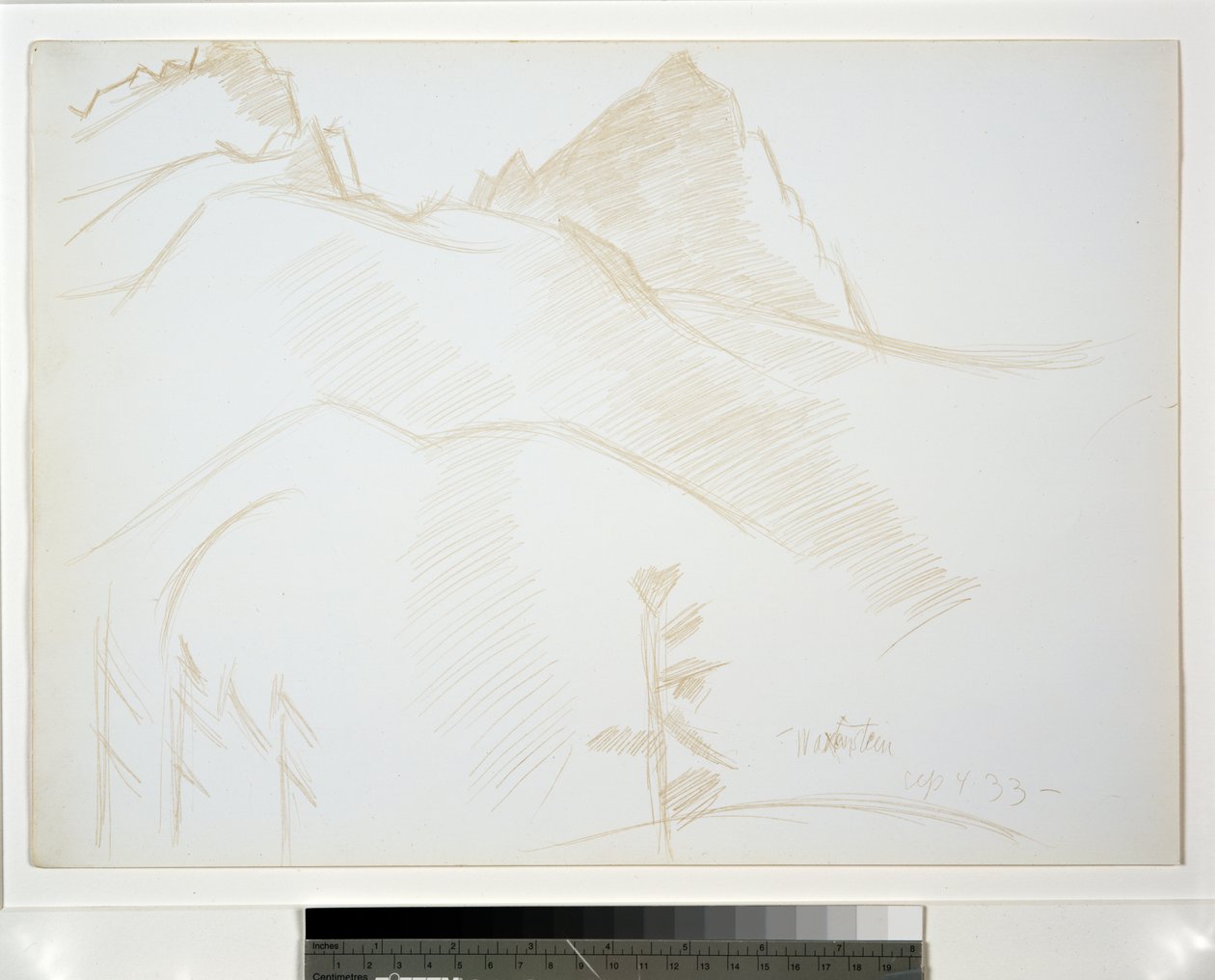 Górski krajobraz z sosnami autorstwa Marsden Hartley