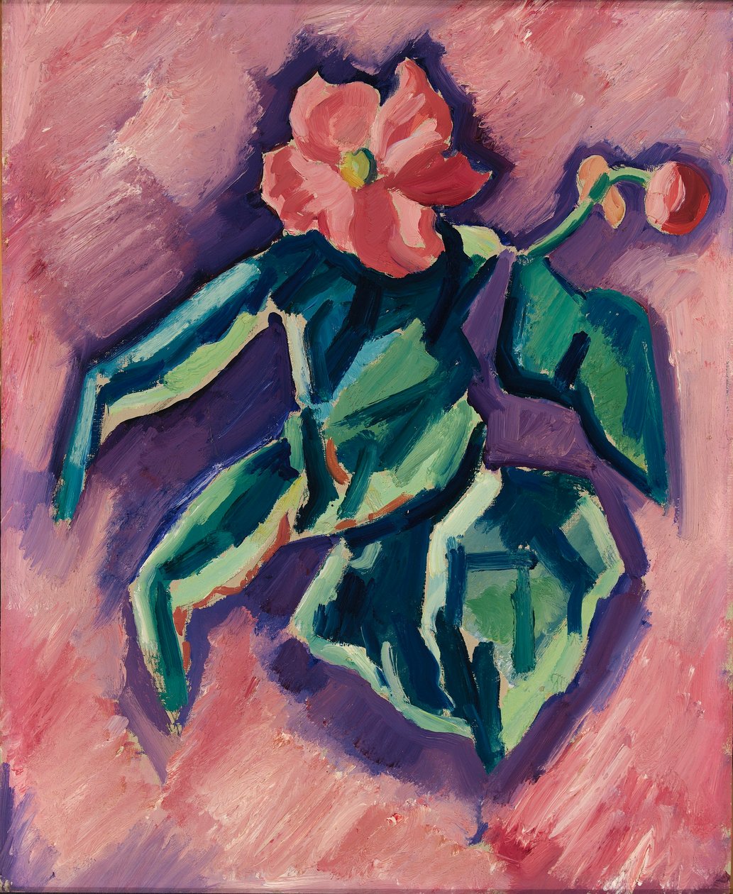 Rosa Begonien autorstwa Marsden Hartley