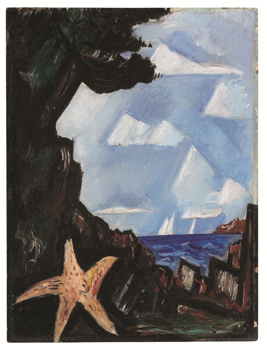 Denny widok — rozgwiazda, Nowa Anglia autorstwa Marsden Hartley