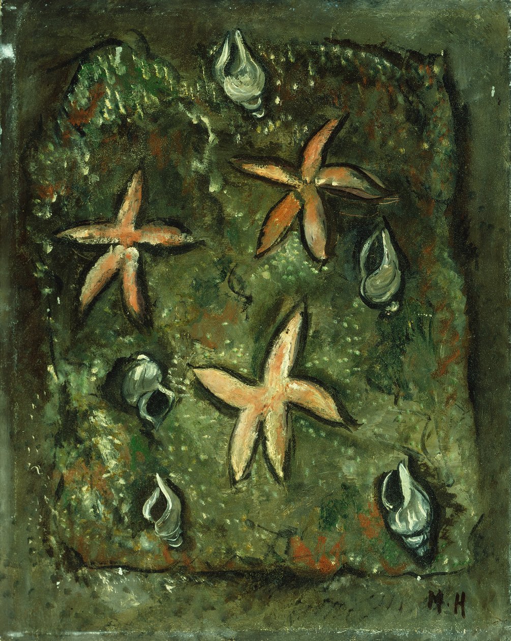 Rozgwiazdy i muszle autorstwa Marsden Hartley
