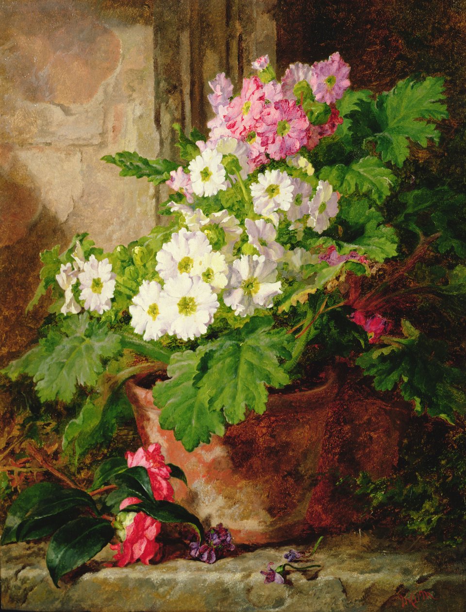 Martwa natura z prymulkami autorstwa Martha Darley Mutrie