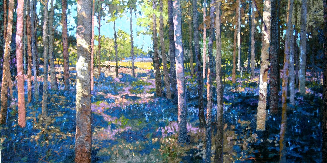 Bluebell Wood, 2009 autorstwa Martin Decent