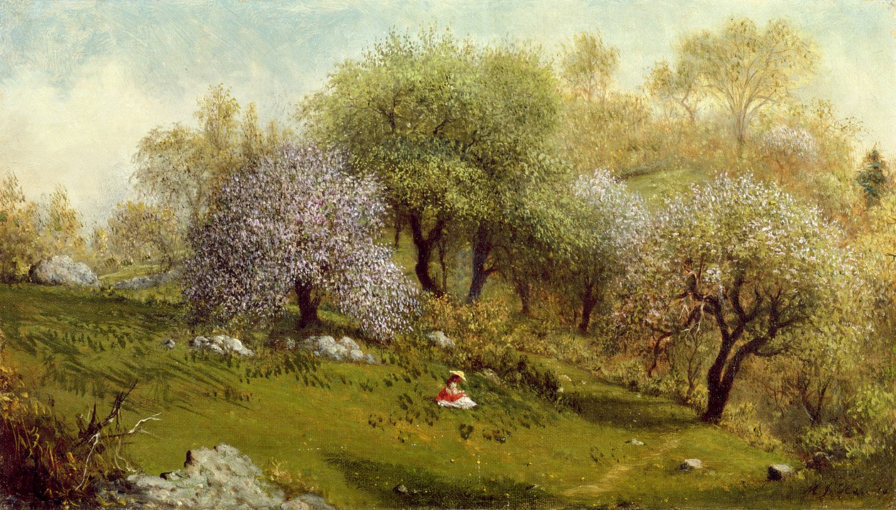 Dziewczyna na wzgórzu, Kwiaty jabłoni, 1874 autorstwa Martin Johnson Heade