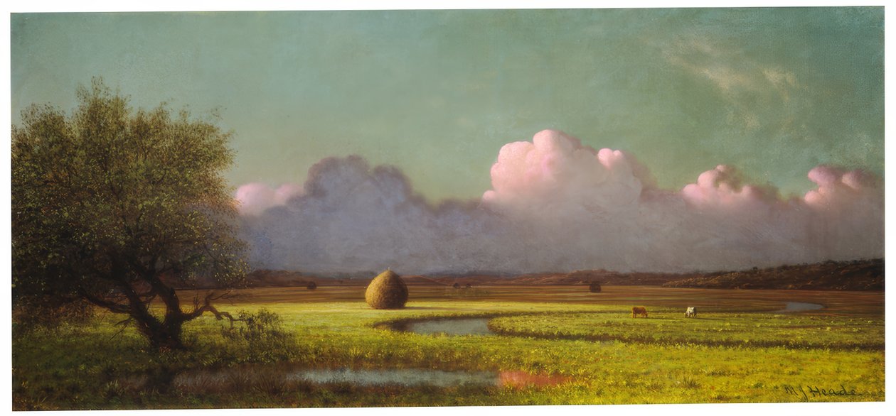 Światło słoneczne i cień: Bagna Newbury autorstwa Martin Johnson Heade