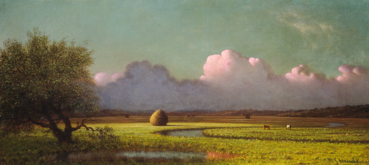 Światło słoneczne i cień – bagna Newbury autorstwa Martin Johnson Heade
