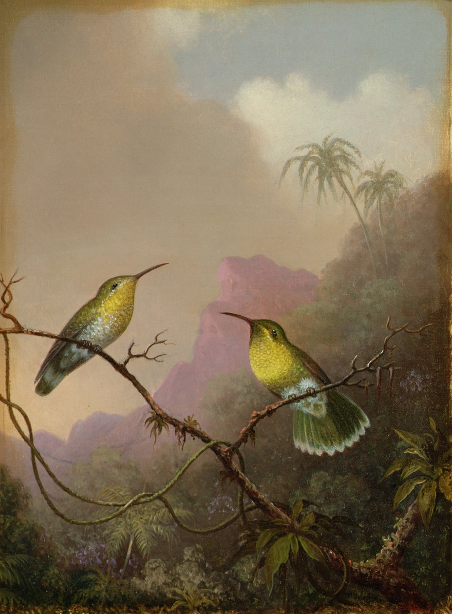 Dwa kolibry, ok. 1865-75 autorstwa Martin Johnson Heade
