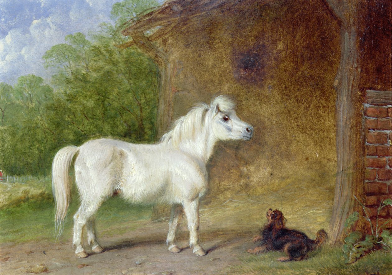Kuc szetlandzki i spaniel King Charles (deska) autorstwa Martin Theodore Ward