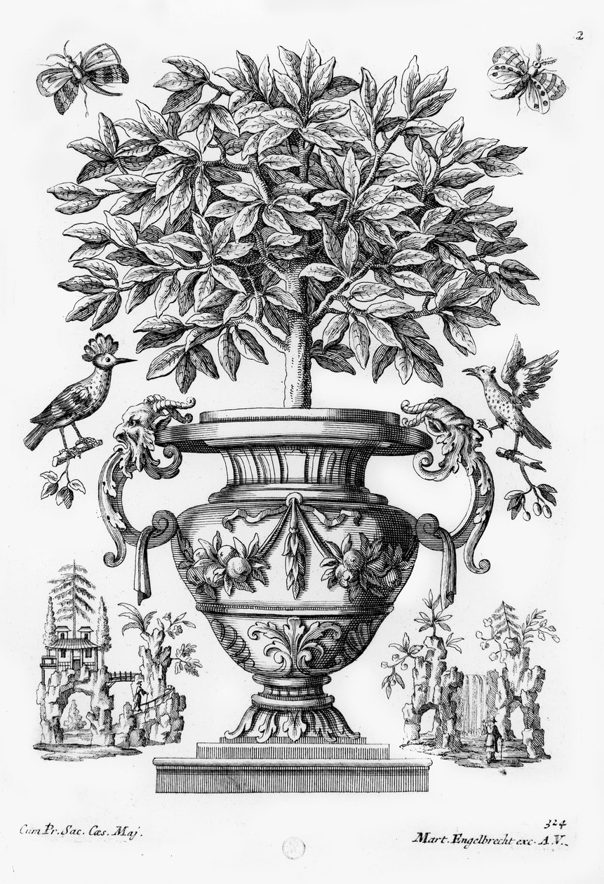 Drzewa cytrusowe, ok.1735 autorstwa Martin Engelbrecht