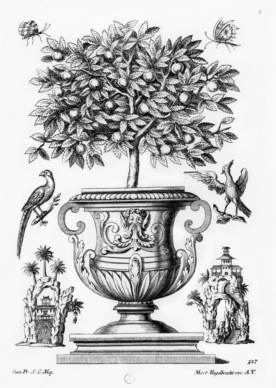 Drzewa cytrusowe, ok.1735 autorstwa Martin Engelbrecht