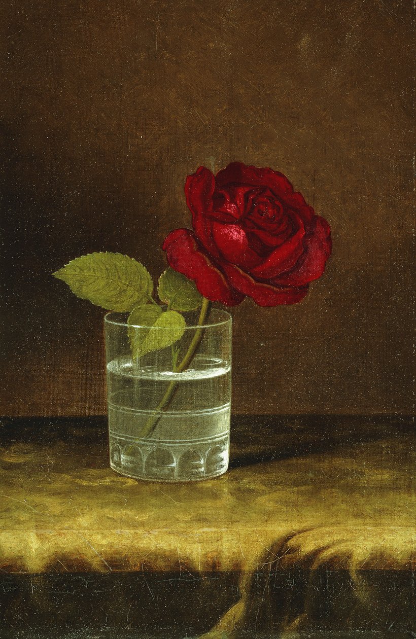 Czerwona Róża, autorstwa Martin Johnson Heade