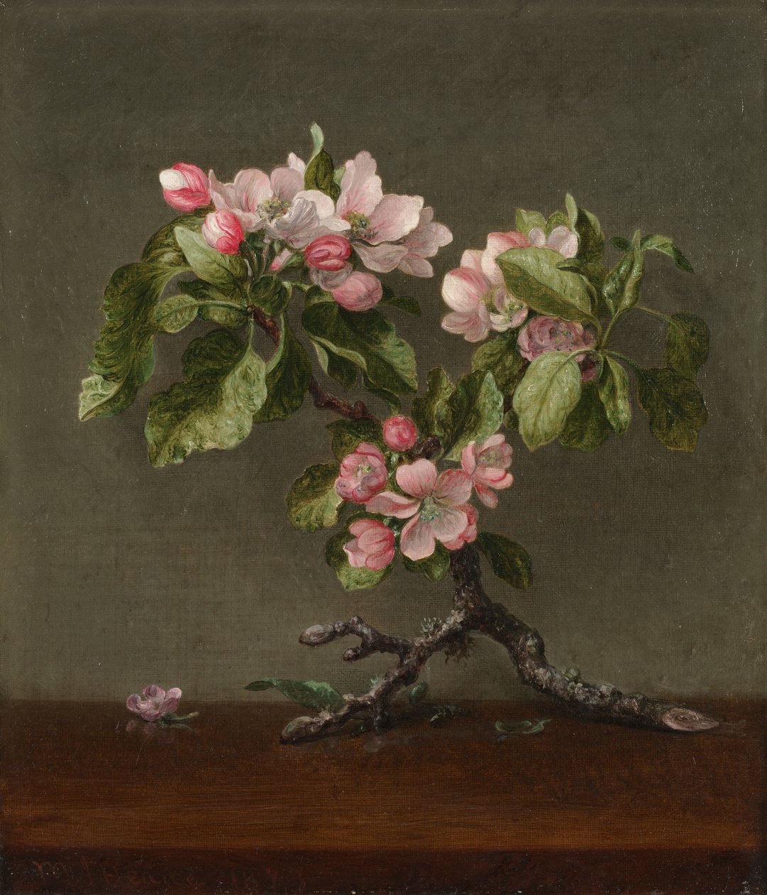 Kwiaty jabłoni autorstwa Martin Johnson Heade