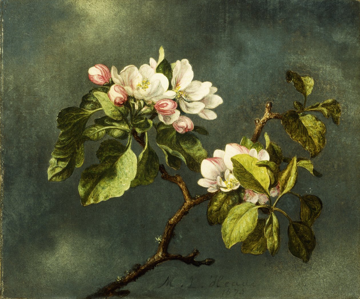 kwiaty jabłoni, autorstwa Martin Johnson Heade