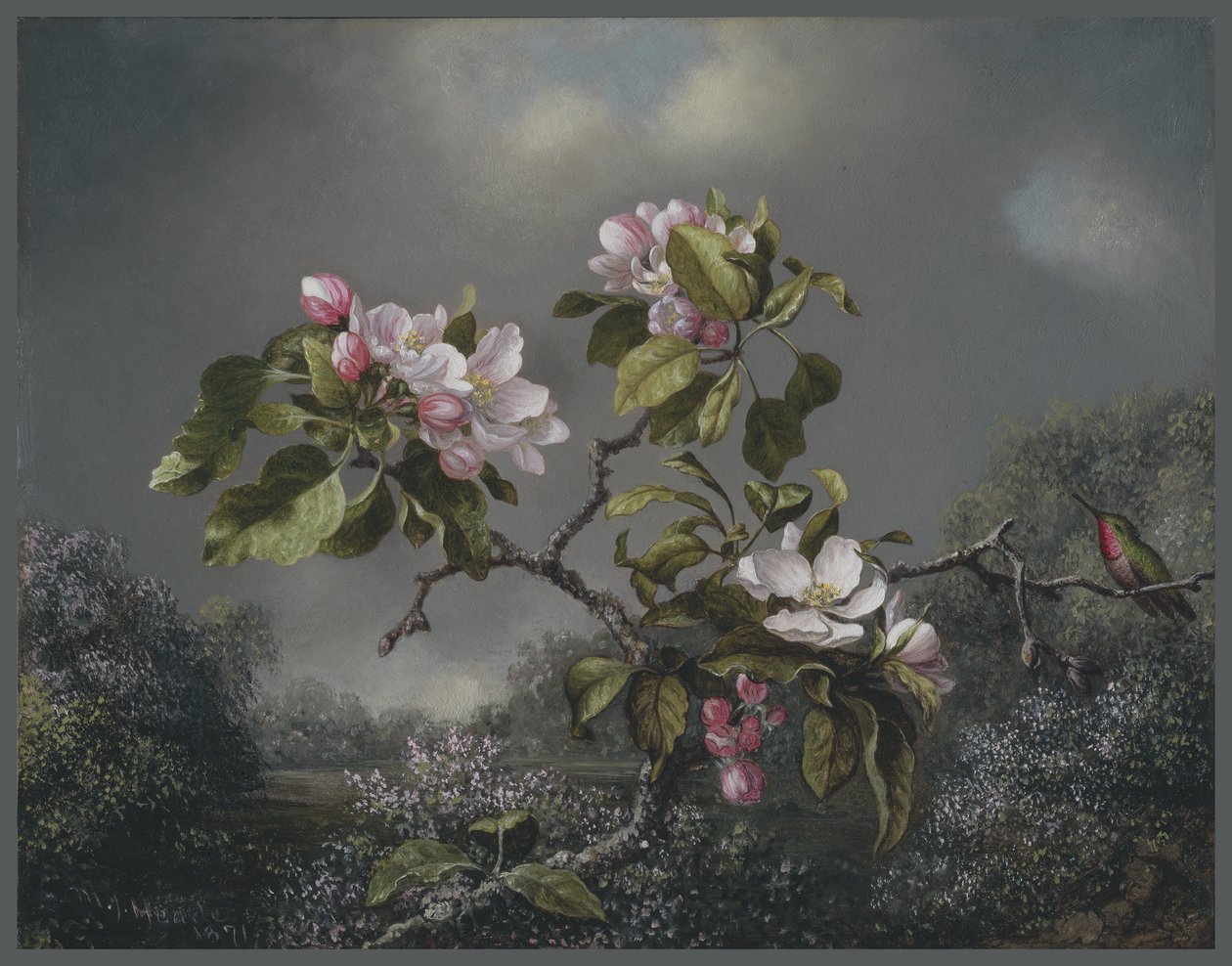 Kwiaty jabłoni i koliber, 1871 autorstwa Martin Johnson Heade