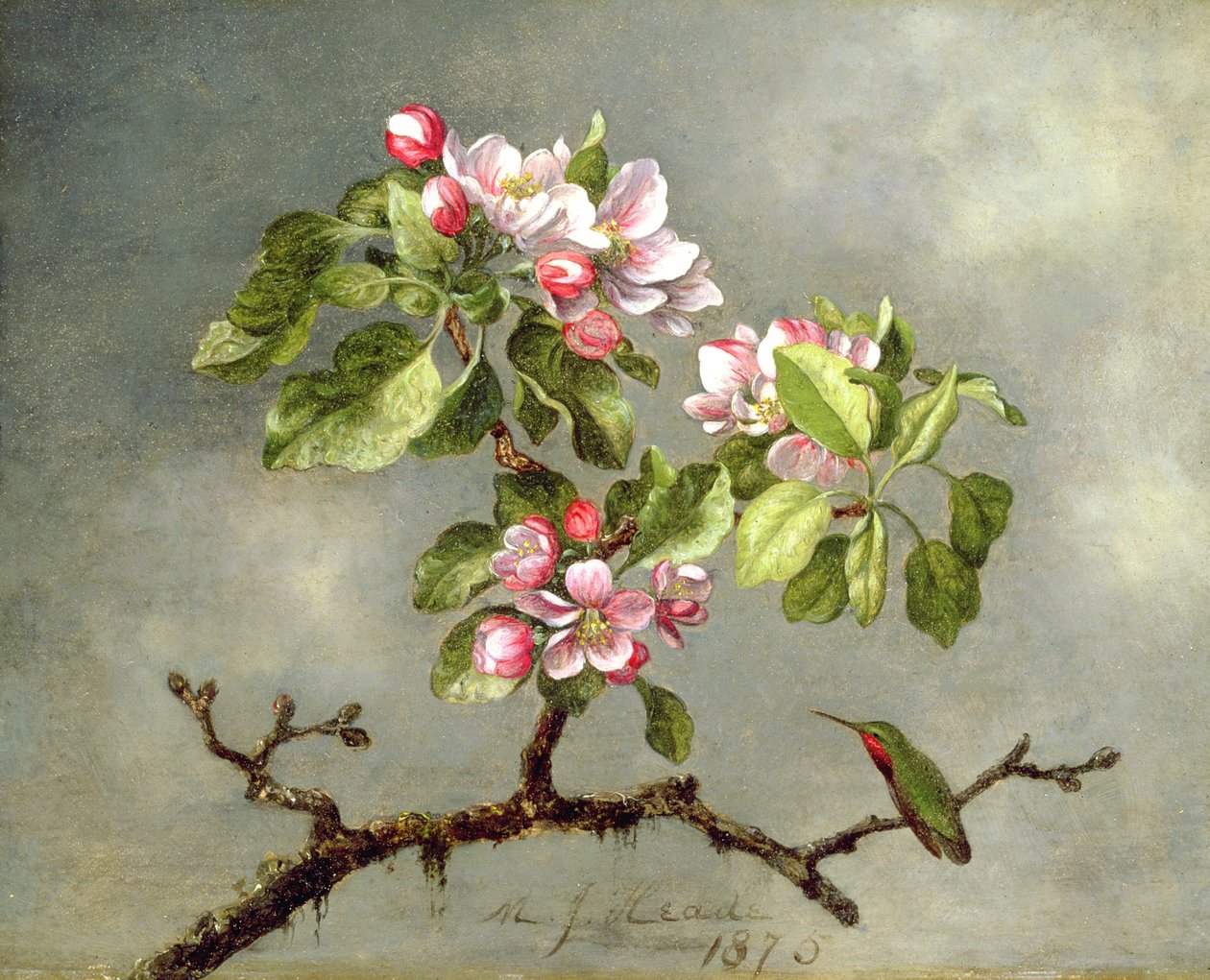 Kwiaty jabłoni i koliber, 1875 autorstwa Martin Johnson Heade
