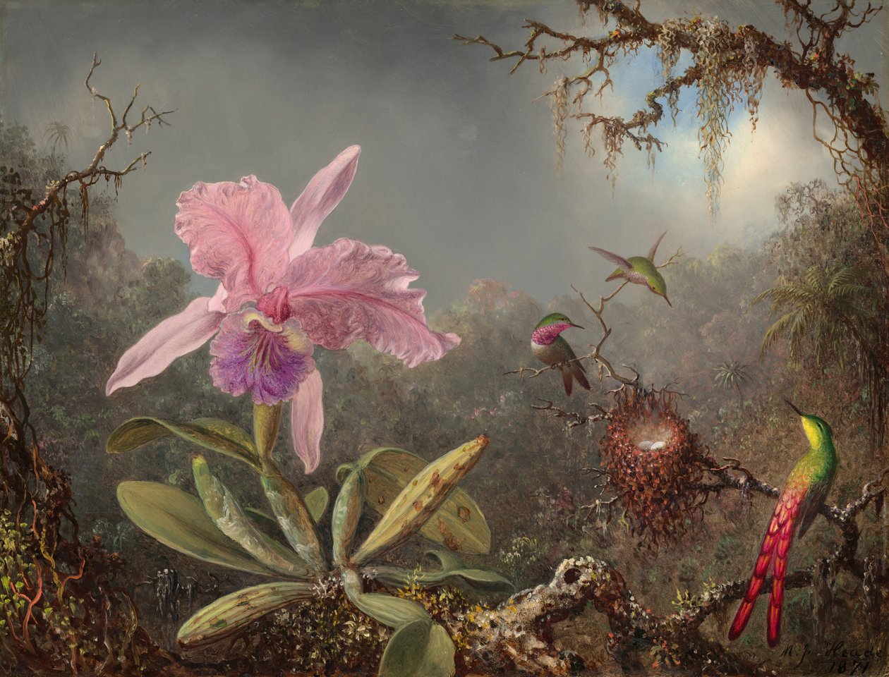 Cattleya Orchid i trzy kolibry, 1871. autorstwa Martin Johnson Heade