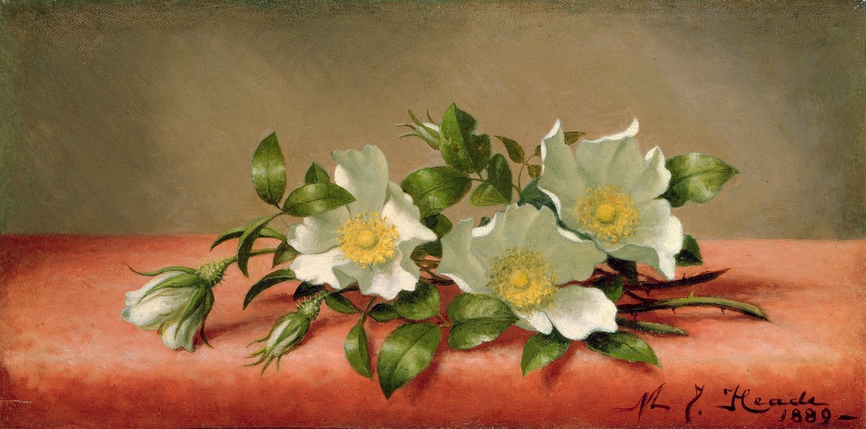 Róże Czirokezów, 1889 autorstwa Martin Johnson Heade
