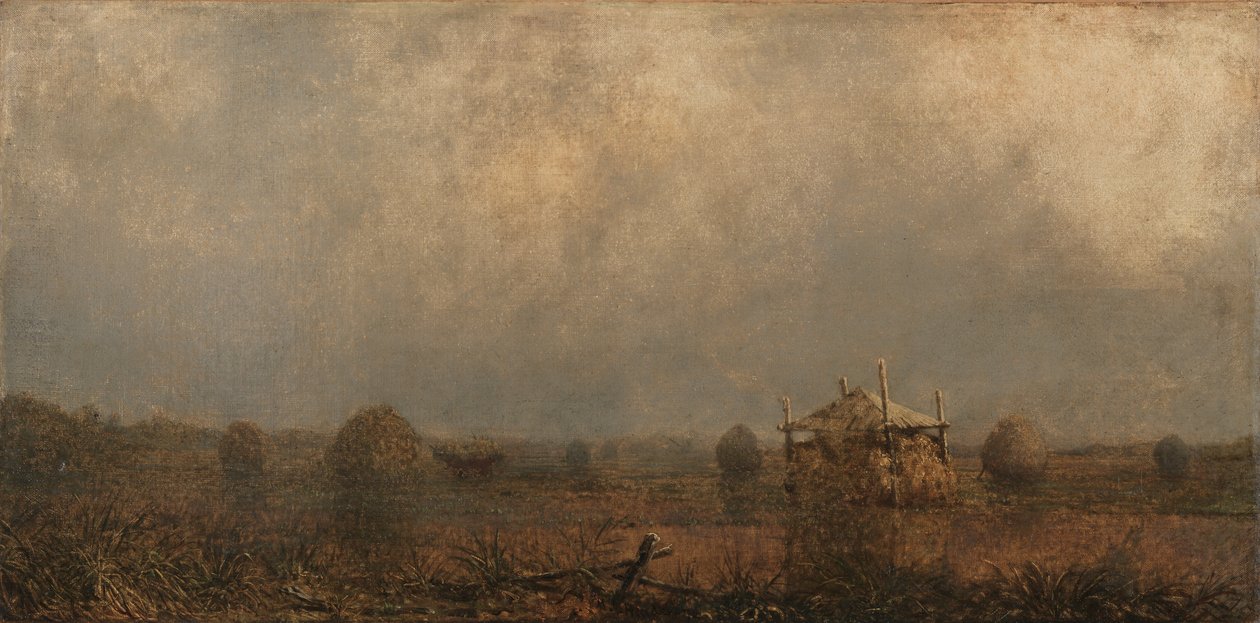 Przypływ na bagnach autorstwa Martin Johnson Heade