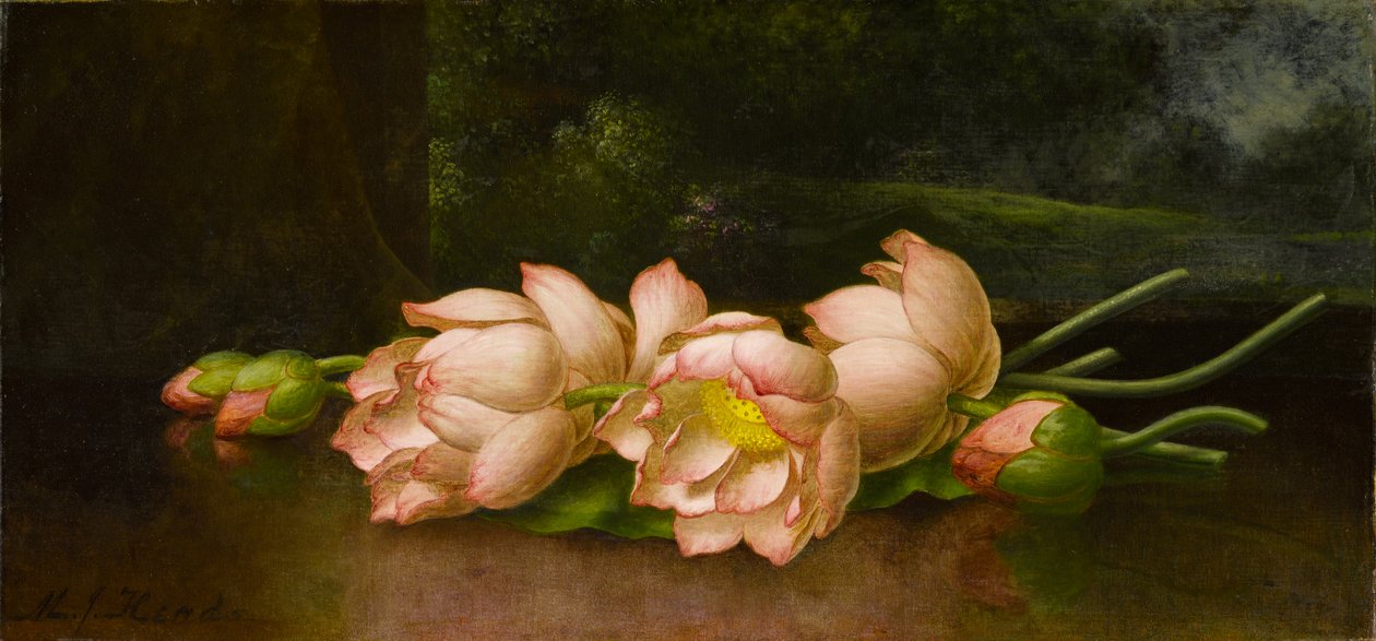 Kwiaty lotosu: pejzaż w tle, ok. 1885-1900 (olej na płótnie) autorstwa Martin Johnson Heade