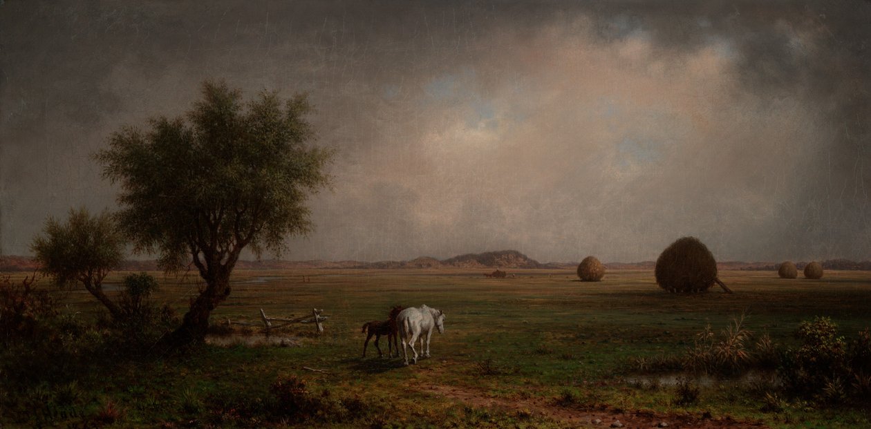 Klacz i źrebię na bagnie autorstwa Martin Johnson Heade