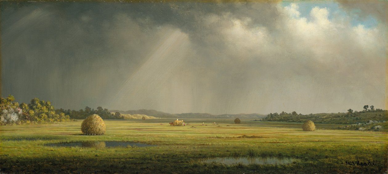 Newburyport Meadows autorstwa Martin Johnson Heade