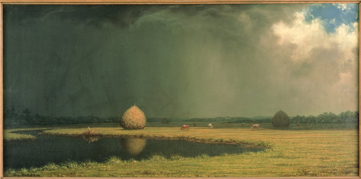 Siano z słonych bagien, ok. 1865 (olej na płótnie) autorstwa Martin Johnson Heade