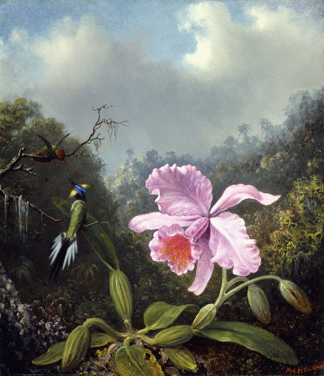 Martwa natura z orchideą i parą kolibrów, ok. 1890 r. autorstwa Martin Johnson Heade
