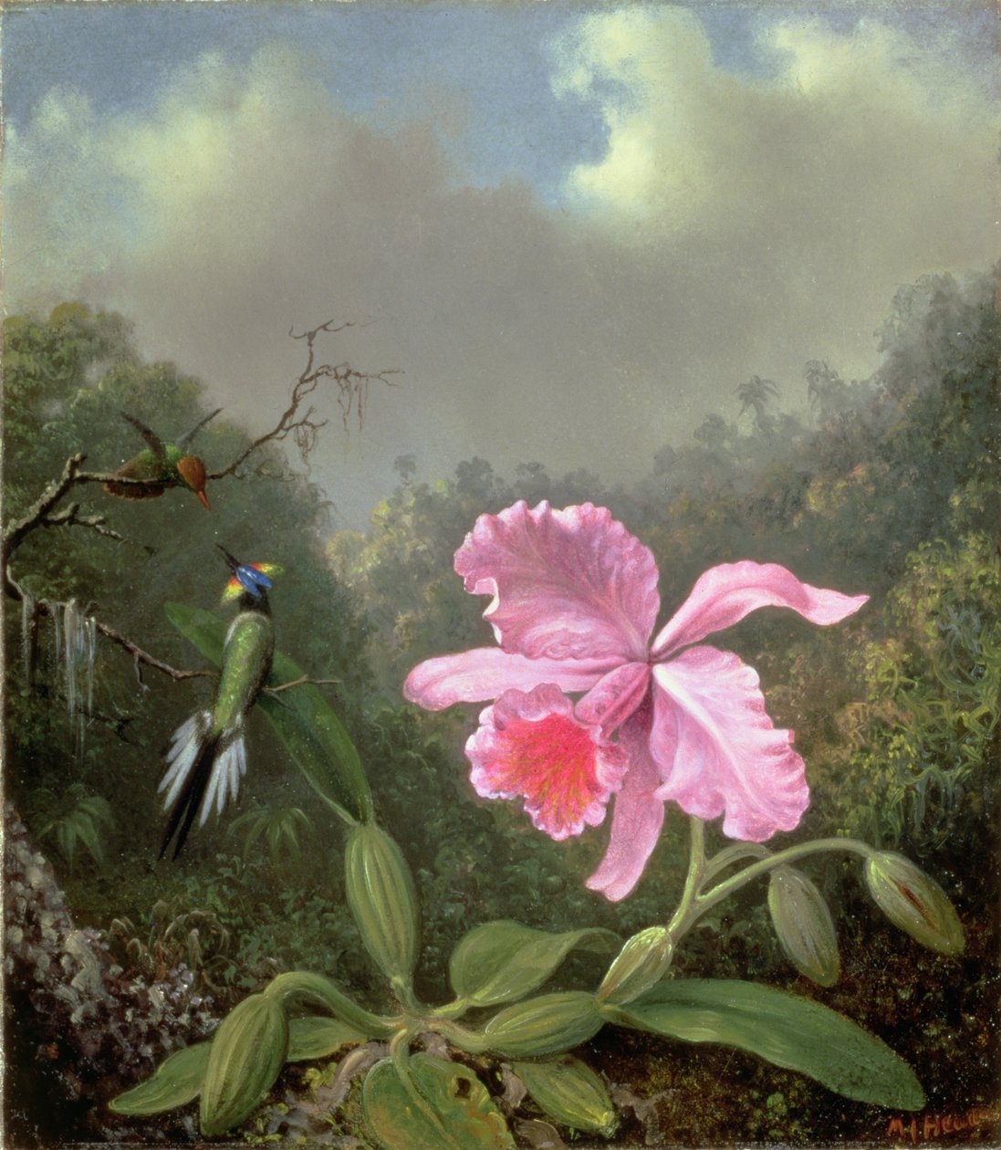 Martwa natura z orchideą i parą kolibrów, ok. 1890 (olej na płótnie) autorstwa Martin Johnson Heade
