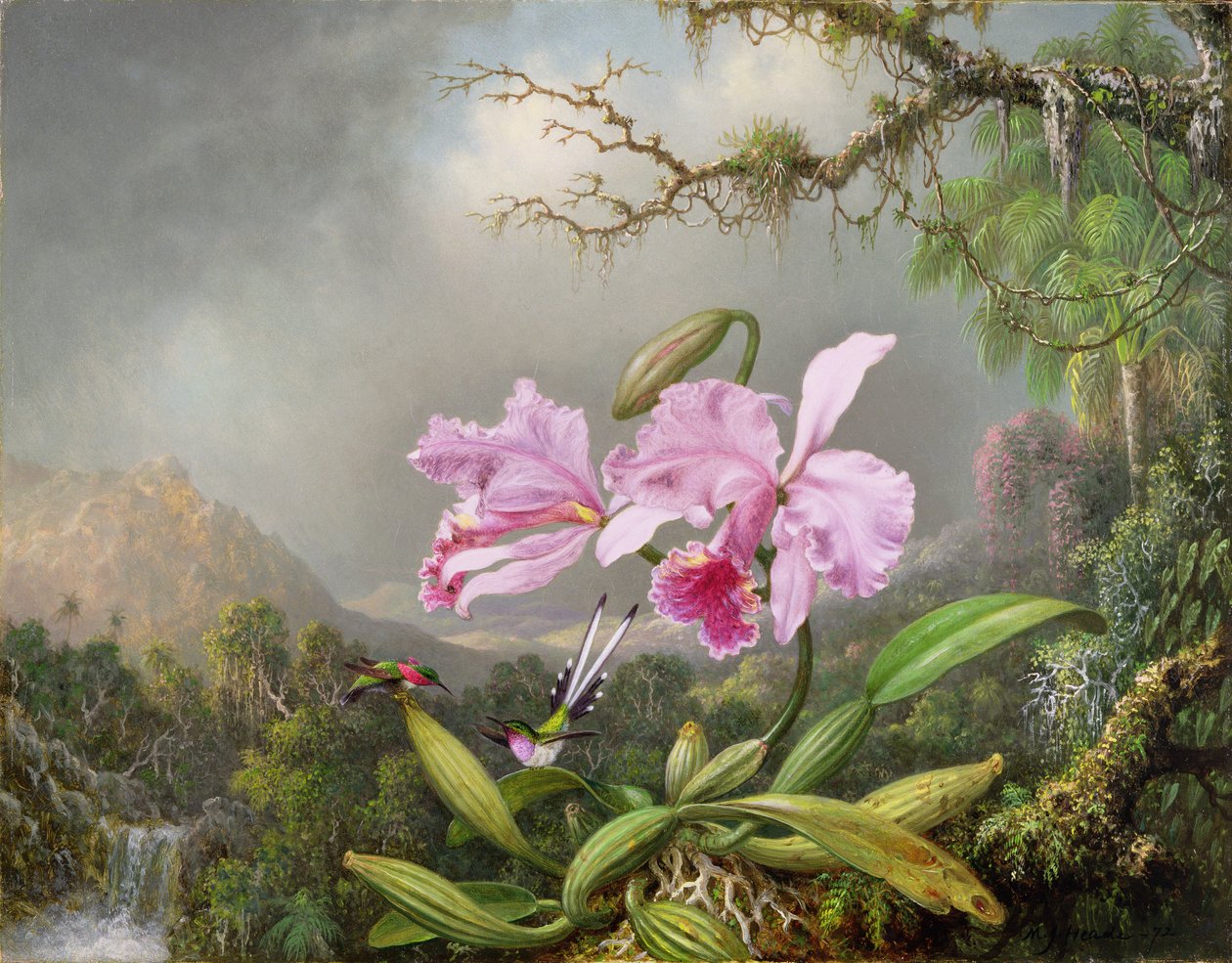 Studium orchidei, 1872 autorstwa Martin Johnson Heade