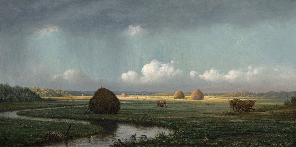 Nagły prysznic, bagna Newbury, 1865-75 autorstwa Martin Johnson Heade