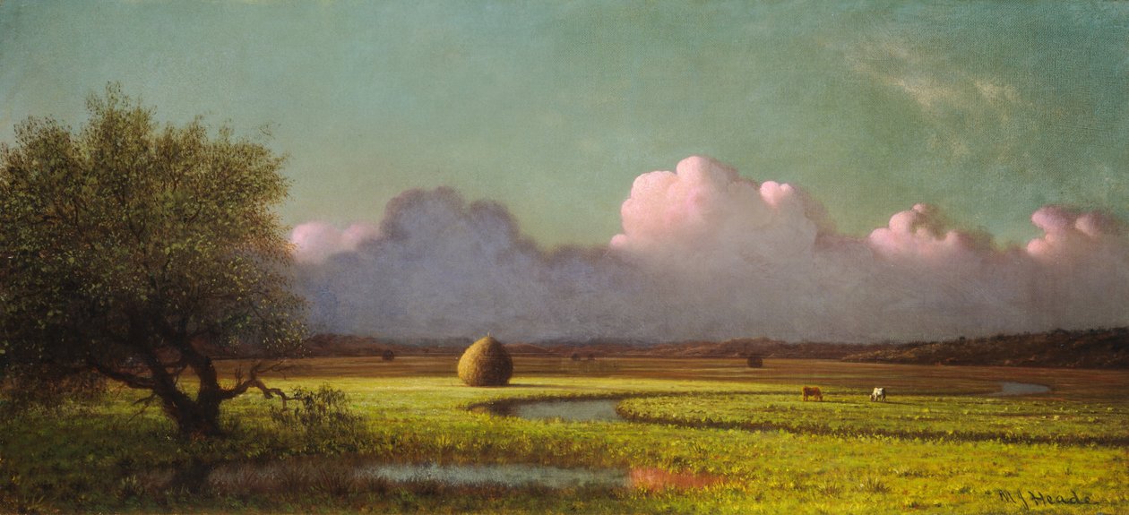 Światło słoneczne i cień: Bagna Newbury, c. 18711875. autorstwa Martin Johnson Heade