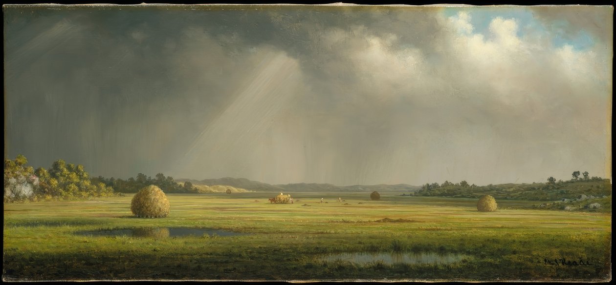 Łąki Newburyport autorstwa Martin Johnson Heade