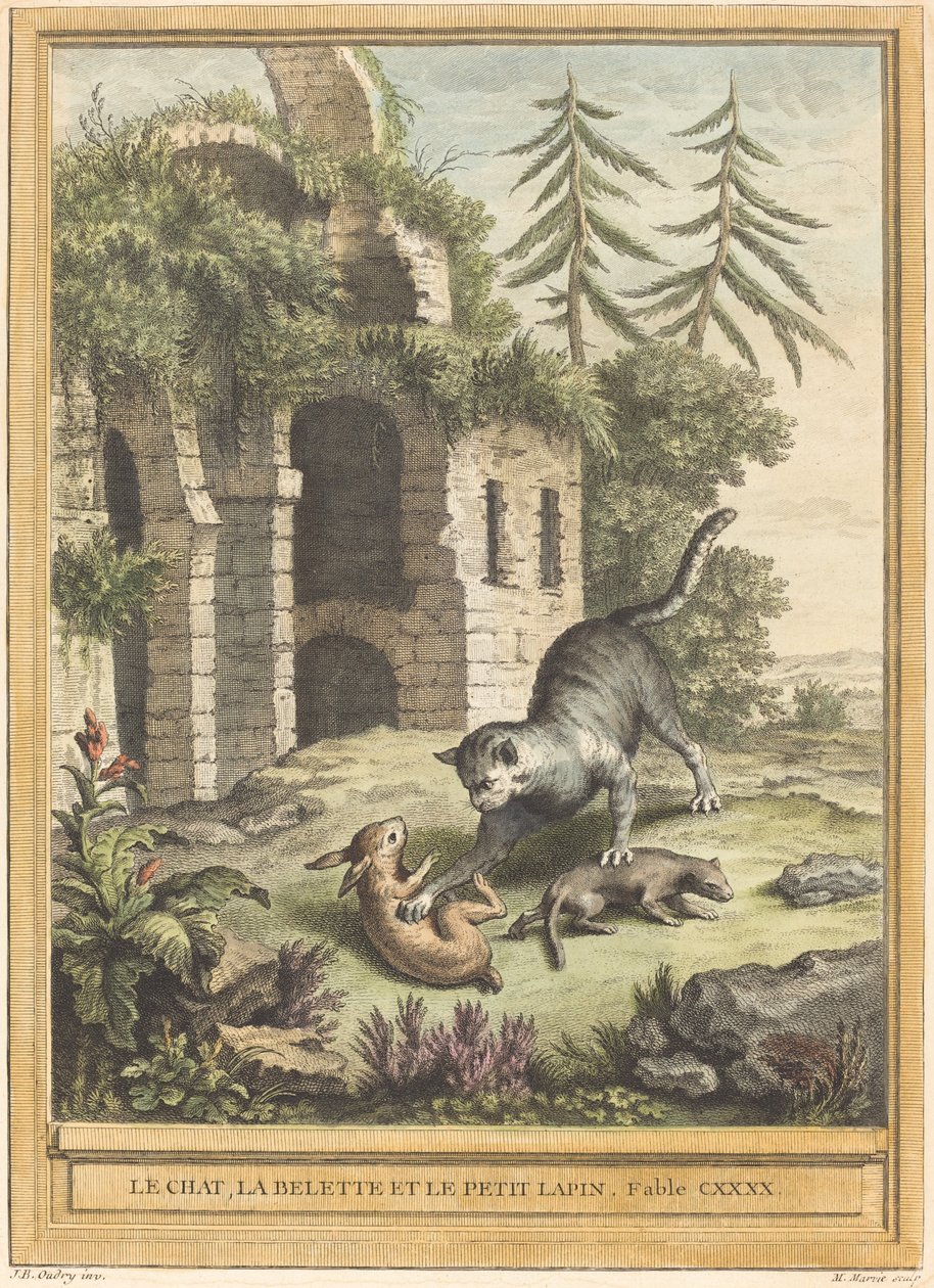 Le chat, la belette et le petit lapin (Kot, Łasica i Królik) autorstwa Martin Marvie after Jean Baptiste Oudry