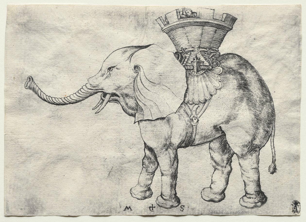 Słoń z Howdah, ok. godz. 1485. autorstwa Martin Schongauer