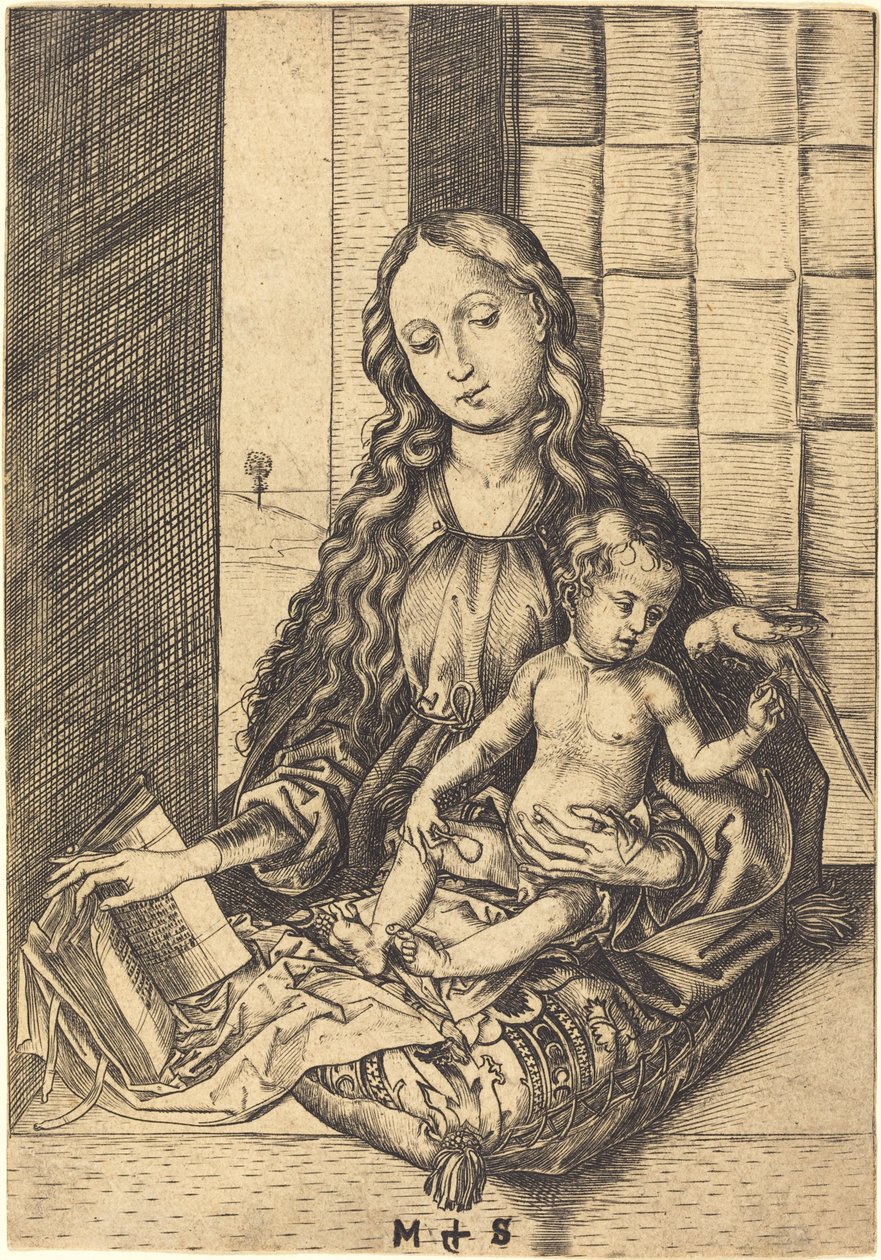 Madonna z papugą autorstwa Martin Schongauer