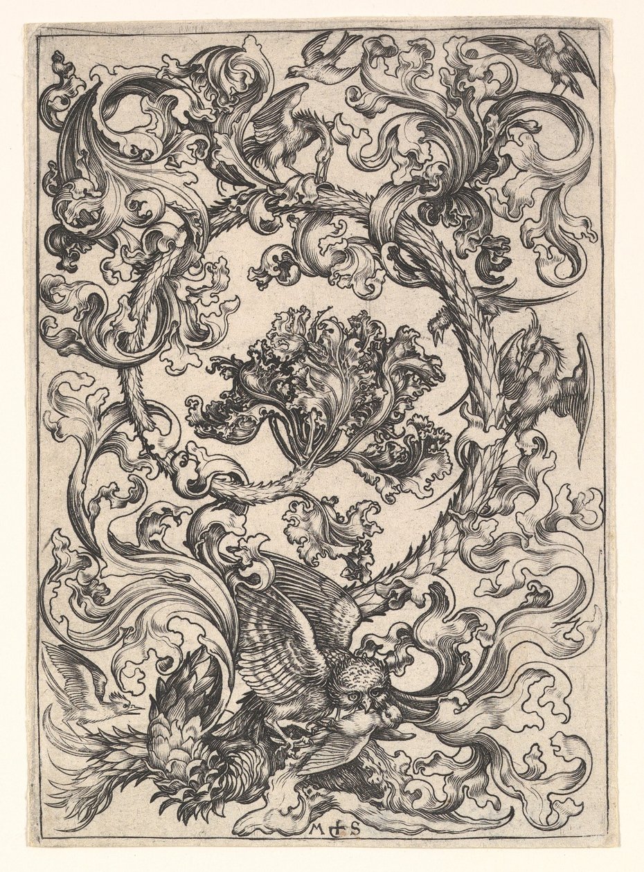 Ozdoba z sową wyszydzaną przez ptaki dzienne, ca. 1435-1491. autorstwa Martin Schongauer