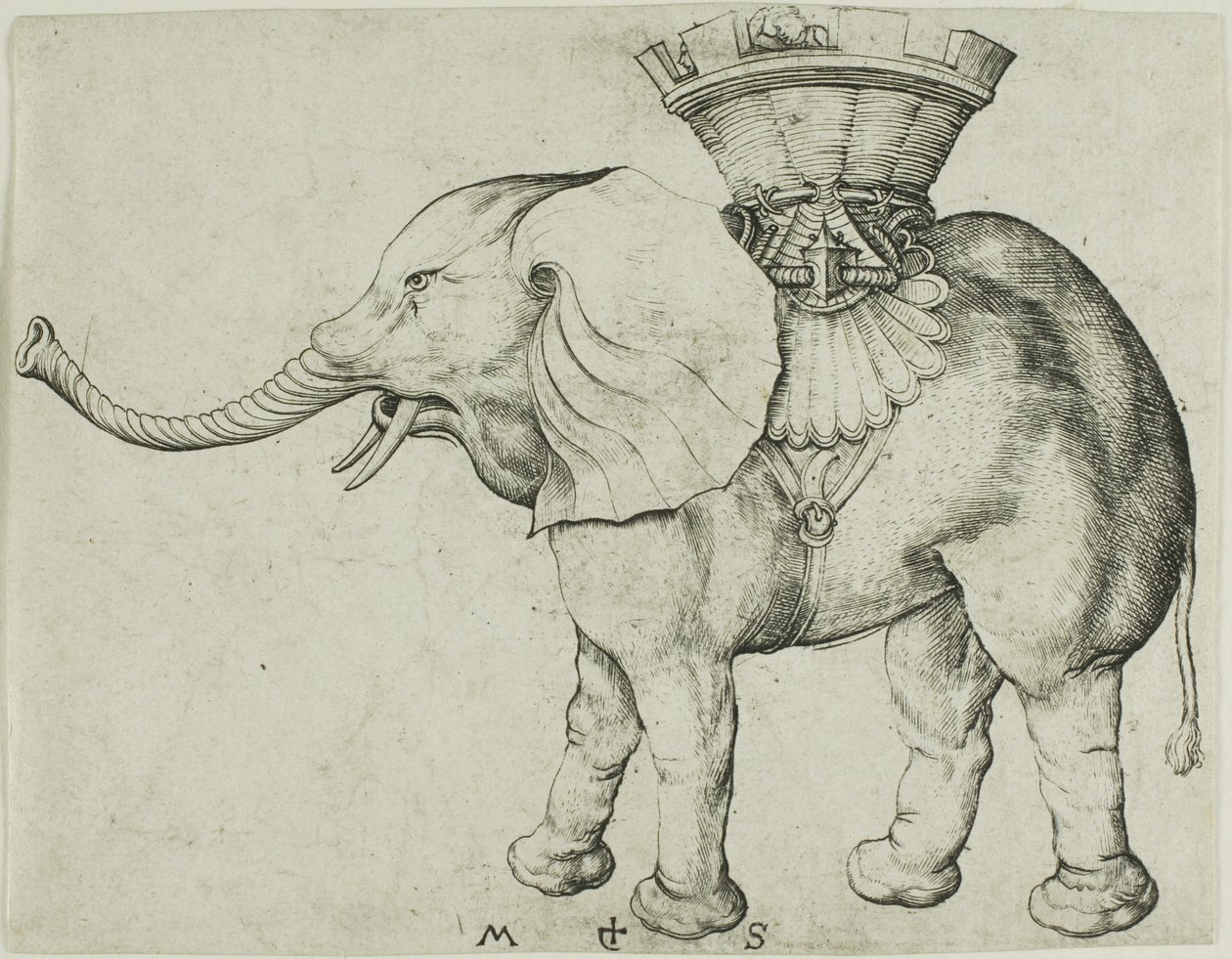 Słoń autorstwa Martin Schongauer