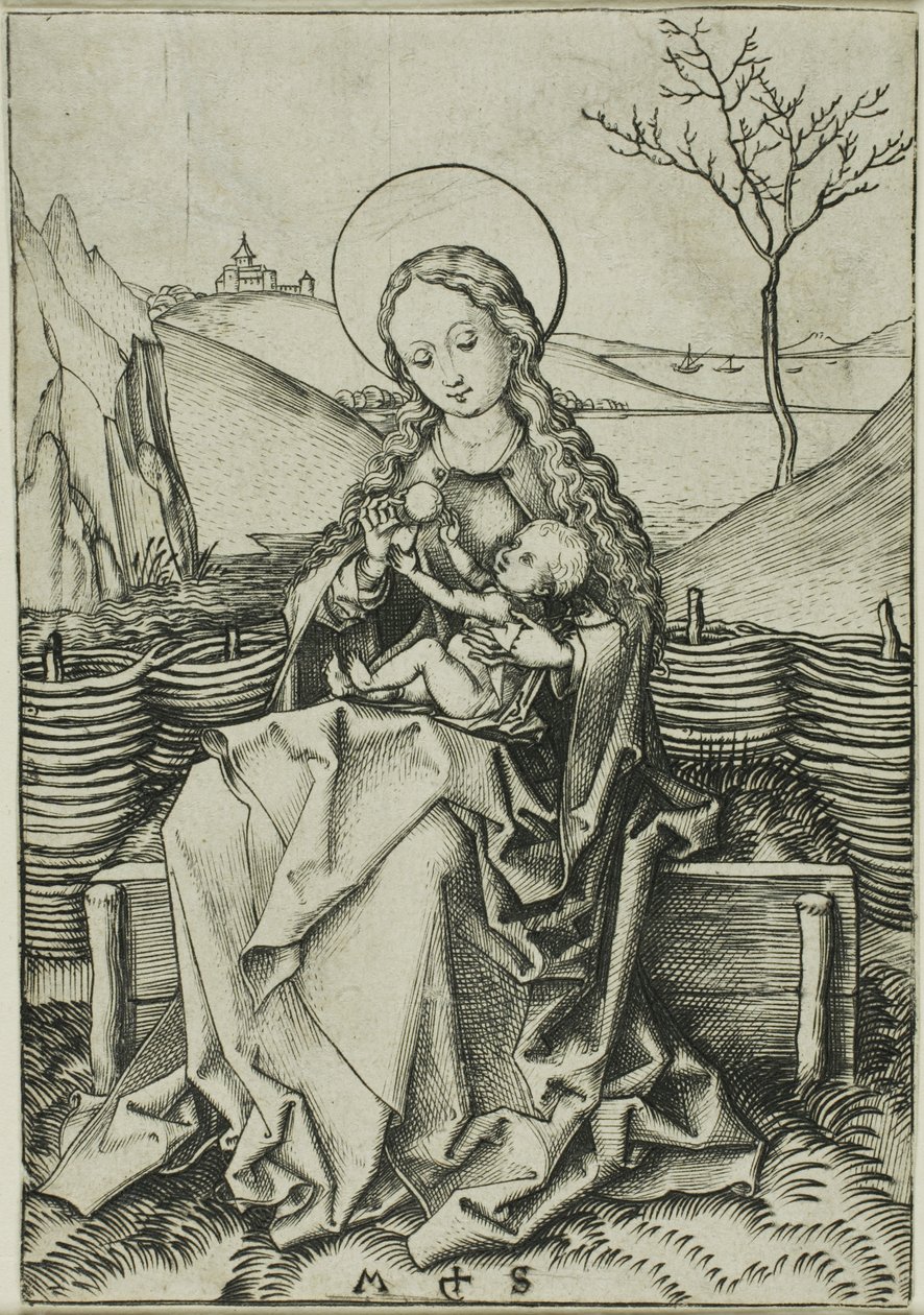 Madonna z Dzieciątkiem na trawiastej ławce autorstwa Martin Schongauer