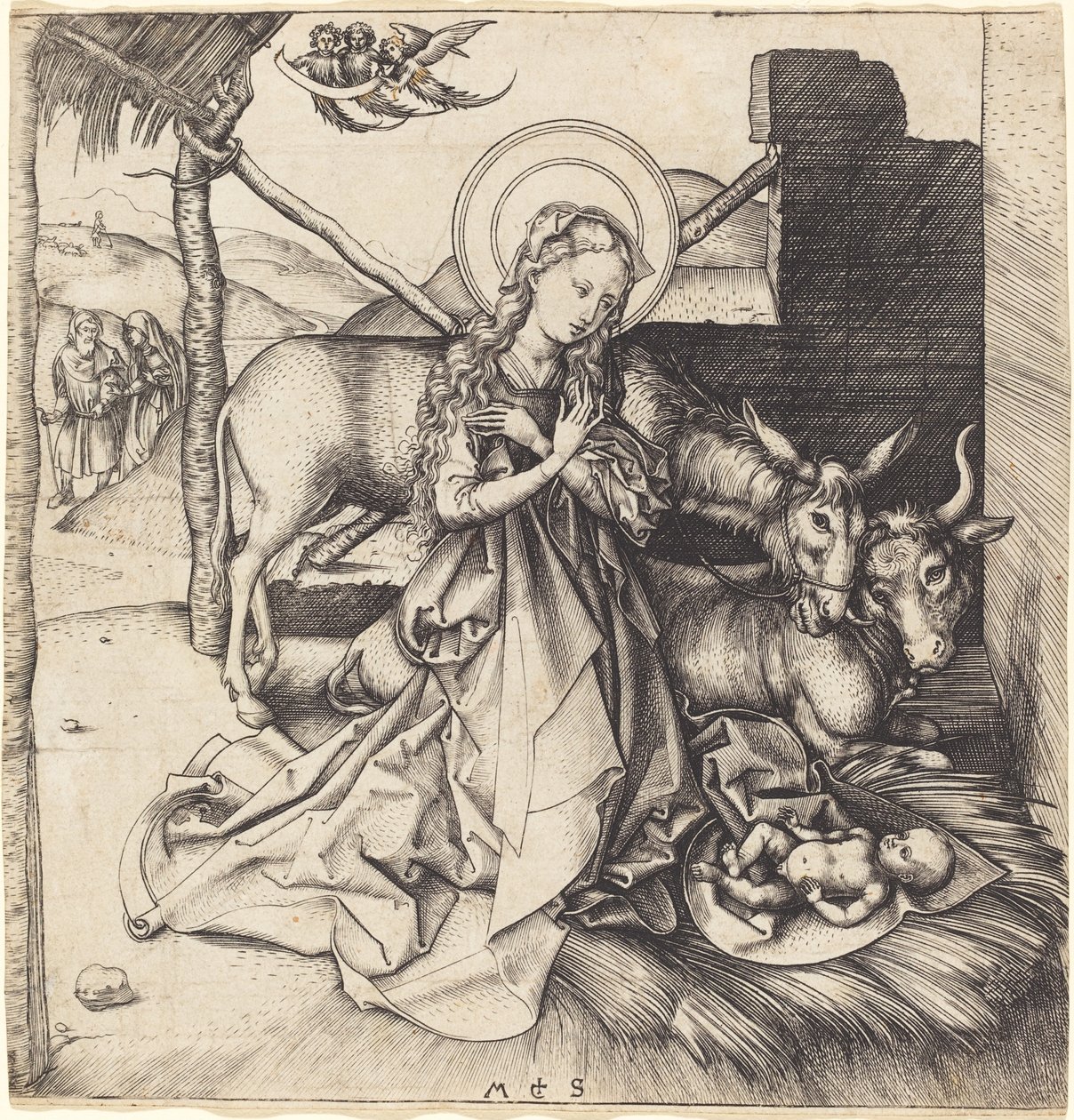 Narodzenie Chrystusa autorstwa Martin Schongauer